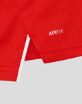 Close-up of blue chest panel with AERTEK lettering on red cricket shirt