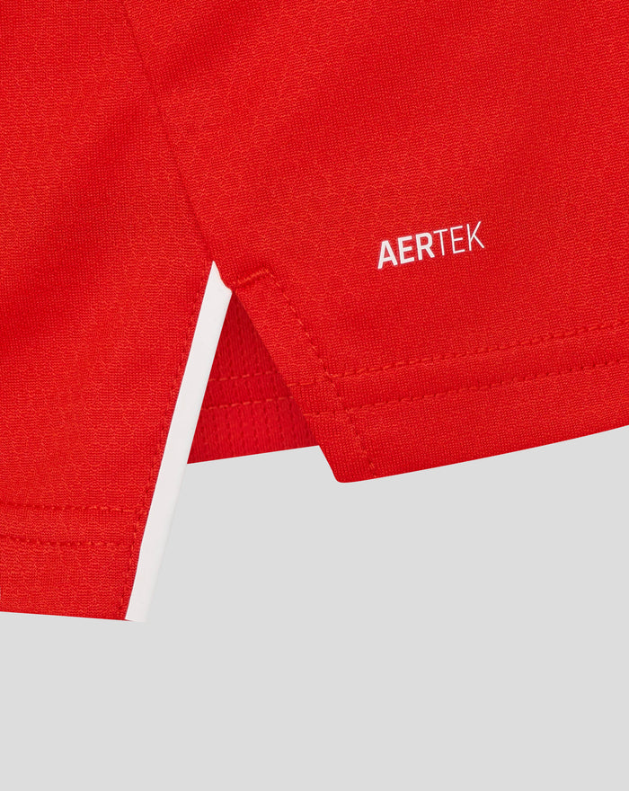 Close-up of blue chest panel with AERTEK lettering on red cricket shirt