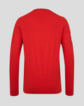 Back view of red England cricket T20 sweater with long sleeves and plain back