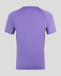 Back view of purple ECB Ashes 2025 training tee with raglan short sleeves