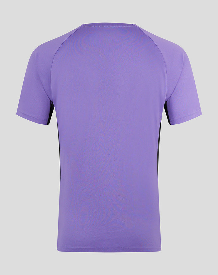 Back view of purple ECB Ashes 2025 training tee with raglan short sleeves